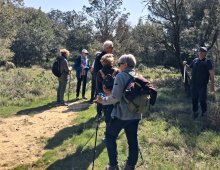 Rando - Laure-Minervois