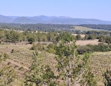 Rando - Laure-Minervois