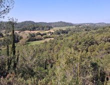 Rando - Laure-Minervois
