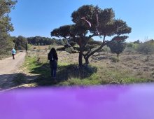 Rando - Laure-Minervois
