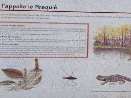 Randonnée - Laprade-Basse