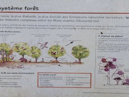 Randonnée - Laprade-Basse
