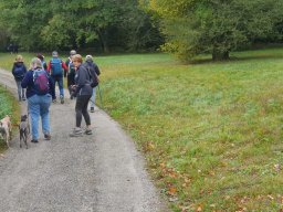 Randonnée - Laprade-Basse